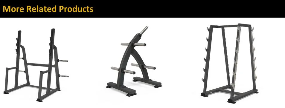 Sunsforce Commercial Fitness Equipment Exercise Sit up Abdominal Bench