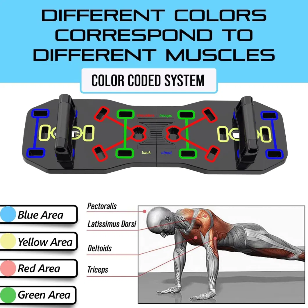 Wholesale Professional Workouts Home Gym Strength Training Equipment Push up Board