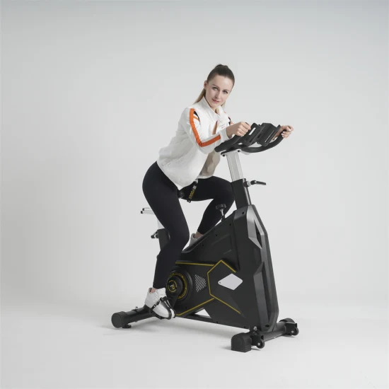 Nouveau Vélo d'exercice d'intérieur vélo stationnaire Cardio Fitness cyclisme vélos d'exercice magnétiques