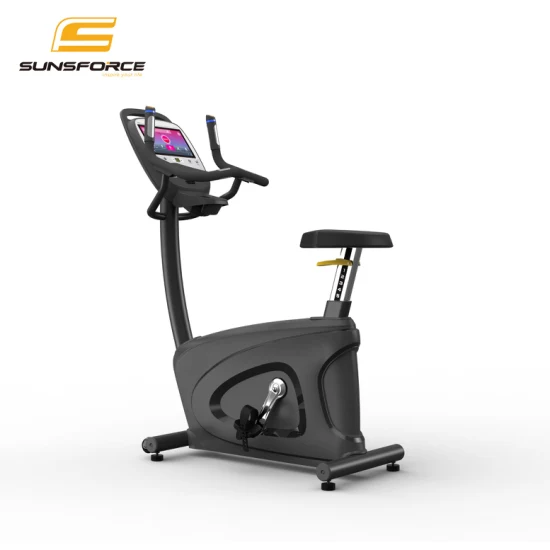 Vente en gros de vélo d'intérieur Body Fit, matériel de santé magnétique commercial, salle de sport professionnelle Spin/Spinning/vélo d'exercice, prix pour Fitness/debout/géant/couché